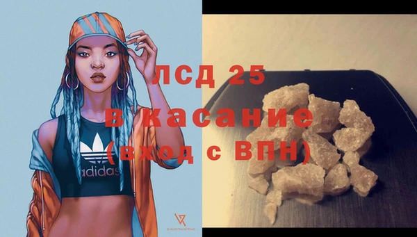 сатива Аркадак