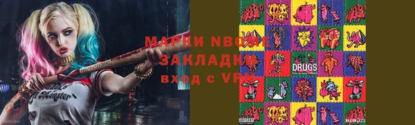 индика Арсеньев