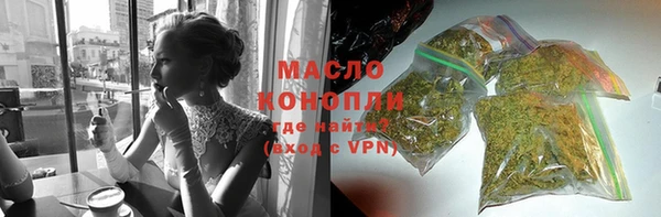 индика Арсеньев