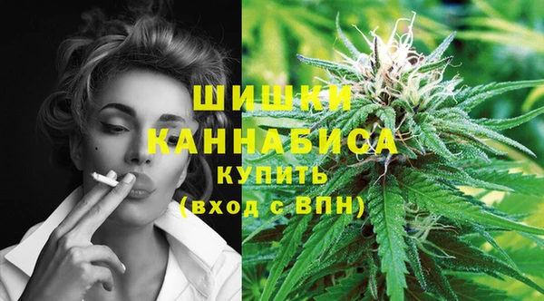 сатива Аркадак