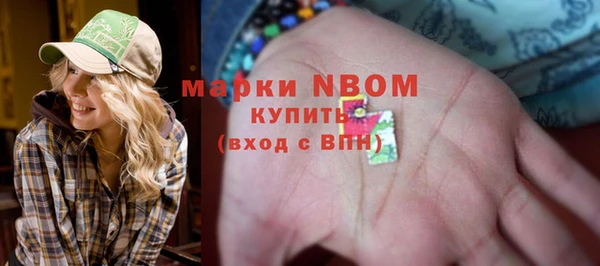 ПСИЛОЦИБИНОВЫЕ ГРИБЫ Пересвет
