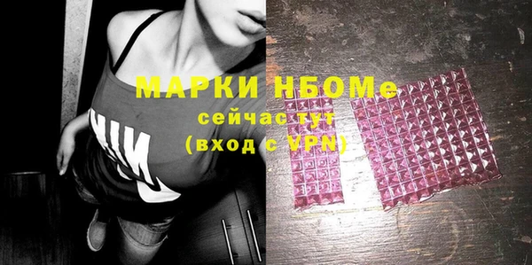 индика Арсеньев