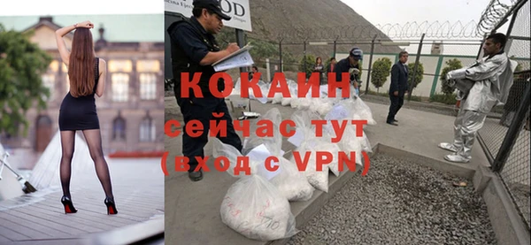 индика Арсеньев