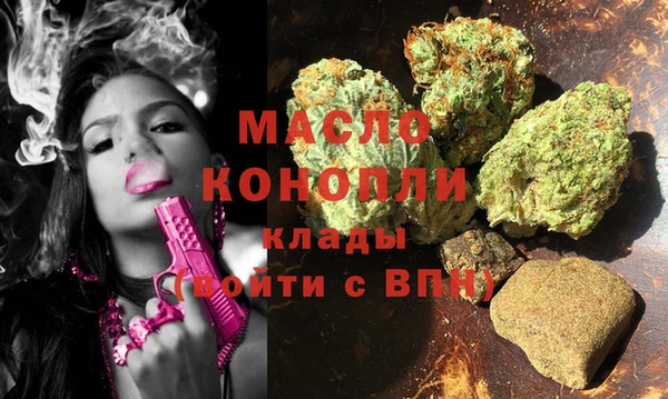 индика Арсеньев