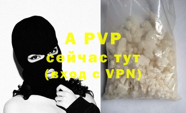 индика Арсеньев