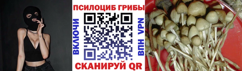 Псилоцибиновые грибы прущие грибы  Светлоград 